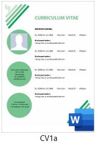 Voorbeeld cv serie cv1
