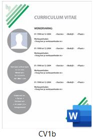 voorbeeld-cv-1b