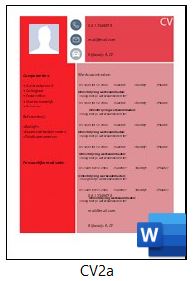 Voorbeeld cv serie cv2