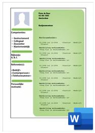 voorbeeld-cv-serie-3