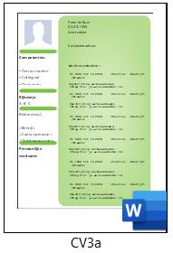 Voorbeeld cv serie cv3