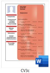 voorbeeld-cv-3c