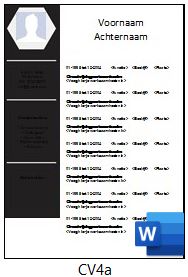 Voorbeeld cv serie cv4