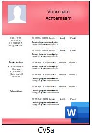 Voorbeeld cv serie cv5