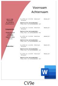 voorbeeld-cv-9e