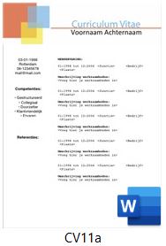 Voorbeeld cv serie cv11