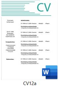 Voorbeeld cv serie cv12