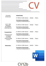 voorbeeld-cv-12b
