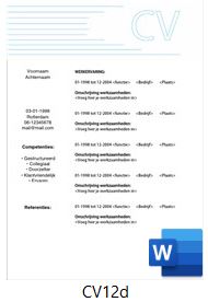 voorbeeld-cv-12d