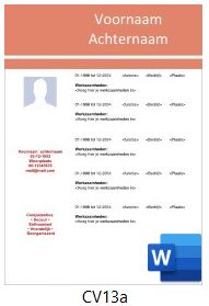 Voorbeeld cv serie cv13
