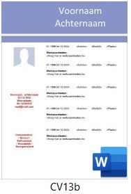 voorbeeld-cv-13b