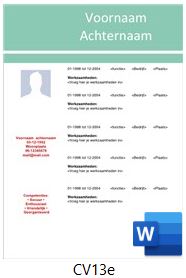 voorbeeld-cv-13e