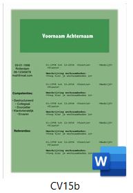 voorbeeld-cv-15b
