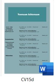 voorbeeld-cv-15d
