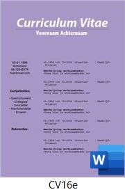 voorbeeld-cv-16e