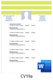 Voorbeeld cv serie cv19